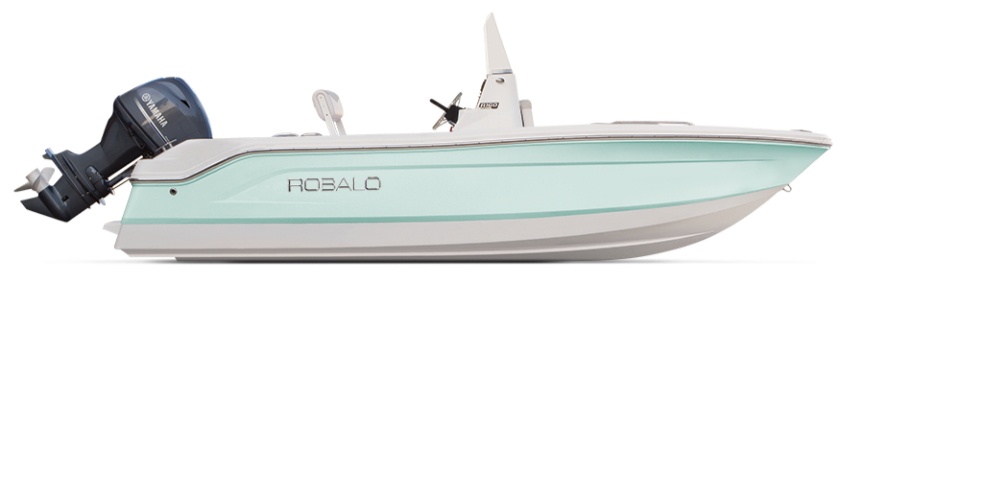 Image of a 2019 160  Center Console