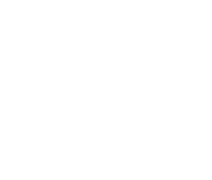 Checkmark Icon Image