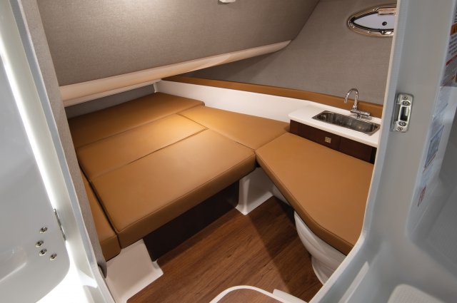 2026 310 OSX Cabin