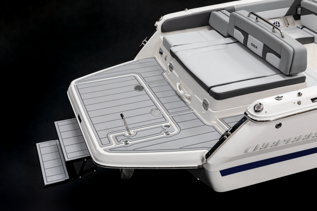 2026 SSX 4 Swim Platform Step