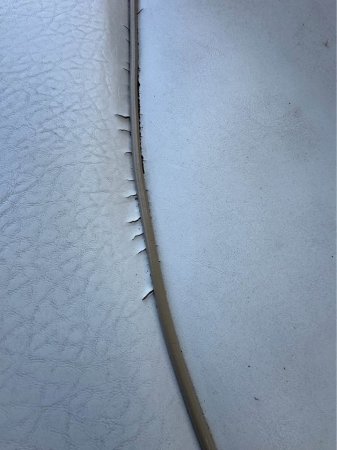 Pre-Owned 1999  powered Sea Ray Boat for sale