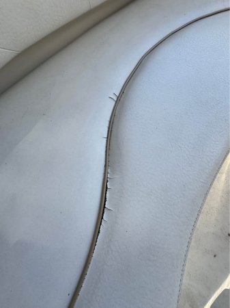 Pre-Owned 1999 Power Boat for sale