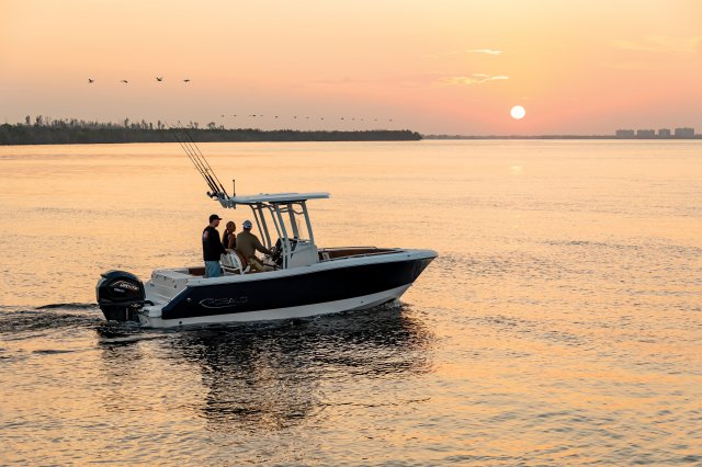 2025 R230 Morning Idle Sunset